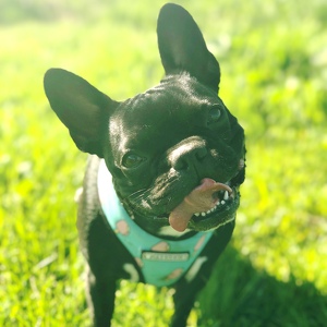 Fundraising Page: Alisha Kulich